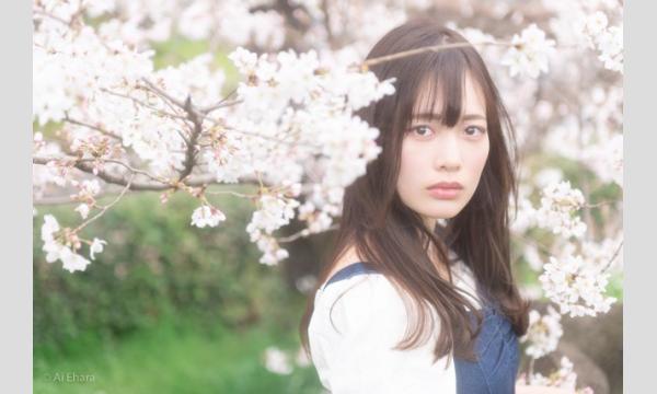 3/28(土)あいちゃん写真クラブ　撮影ワークショップ＠桜ポートレート編