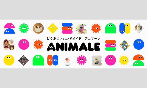 アニマーレ／ニャンフェス23 共通チケット イベント画像1