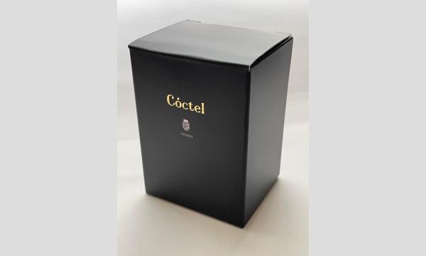 TIPS2022 記念限定インク「Cóctel (コクテル)」 in東京 - パスマーケット 