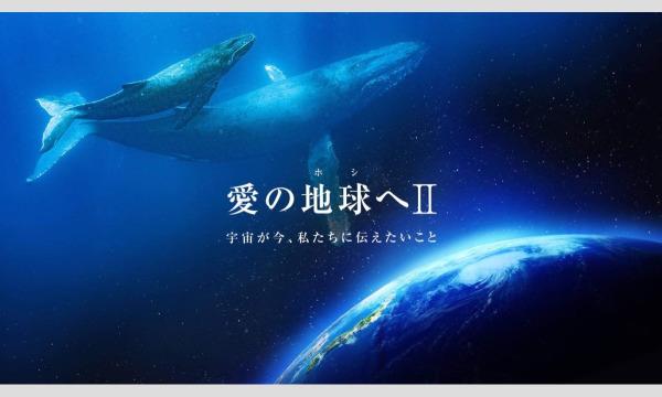 『愛の地球へ・II』上映会、海響監督によるクリスタルボールコンサート&愛のワーク　ドルフィニスト綾子さんライブ中継 イベント画像2