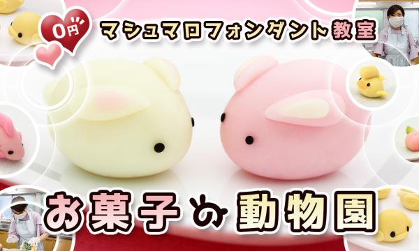 【2025年10月31日開催】お菓子教室「マシュマロフォンダントで作る動物園」 in神奈川イベント