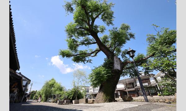 COS-LOG in 倉敷市芸文館/美観地区 イベント画像2