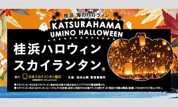 桂浜ハロウィンスカイランタン イベント画像1