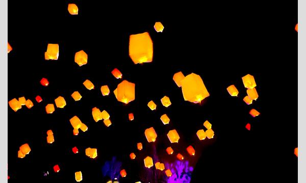 2026年2月14日　ウインターイルミネーション 【おかやまフォレストパーク ドイツの森】 イベント画像3