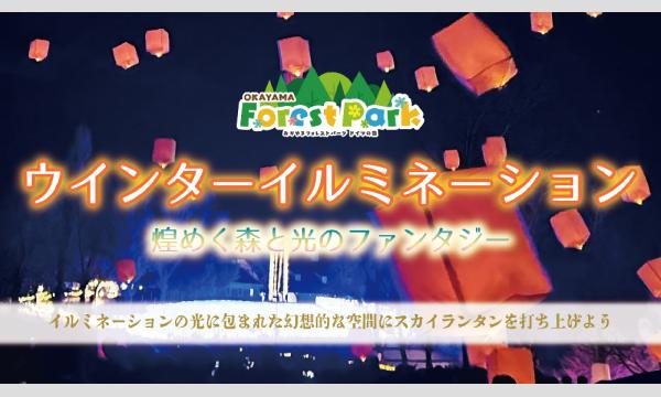 2026年1月11日　ウインターイルミネーション 【おかやまフォレストパーク ドイツの森】