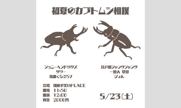 初夏のカブトムシ相撲