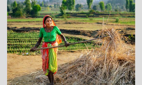 三井昌志のオンライン写真教室　第17回「LightroomとLuminarを使った高度なレタッチ術」 イベント画像3