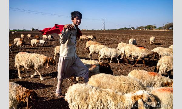 三井昌志のオンライン写真教室　第9回「写真のセレクトと文脈の力」 イベント画像1