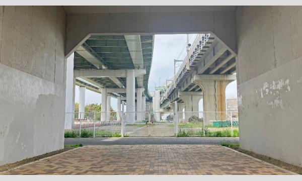 事前★3/8(日)　コスプレイベント りんくう公園(大阪)＠JPCC イベント画像3