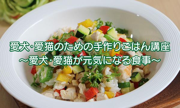 犬 猫のための健康手作りごはん講座 宮城県仙台市 In宮城 パスマーケット