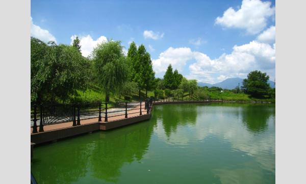 11/8(日)秋のピクニック撮影(北勢中央公園) in三重イベント