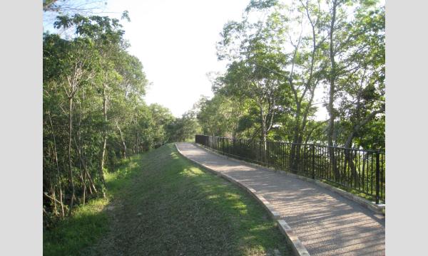 11/8(日)秋のピクニック撮影(北勢中央公園) イベント画像2