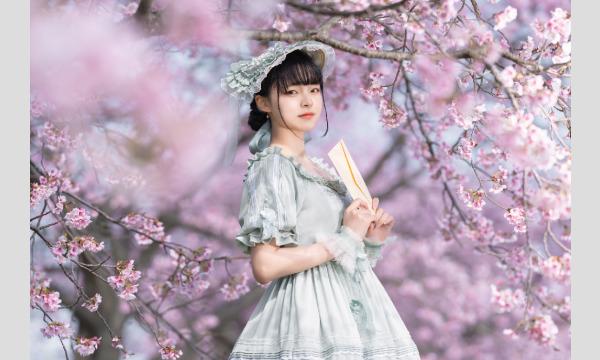 5/8　さぶじぇくと　茉白すふれ イベント画像2