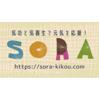 『sora ・空』~気功で元気を応援!気功へのみちしるべ イベント販売主画像