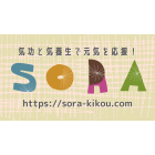 『sora ・空』～気功で元気を応援！気功へのみちしるべ イベント販売主画像
