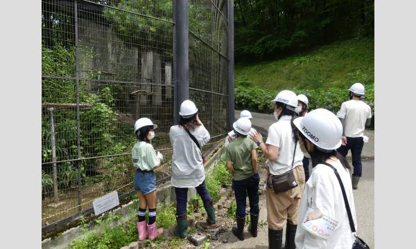 親子限定!!盛岡市動物公園ZOOMOリニューアル工事ツアー※9月開催分※ イベント画像1