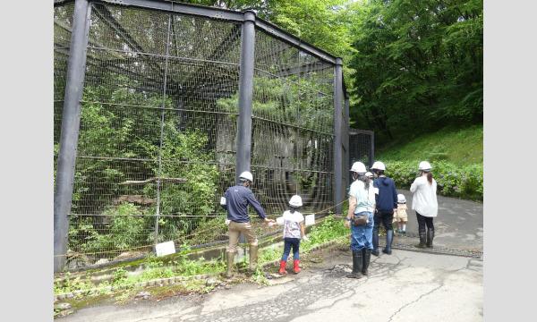 親子限定!!盛岡市動物公園ZOOMOリニューアル工事ツアー※9月開催分※ イベント画像2