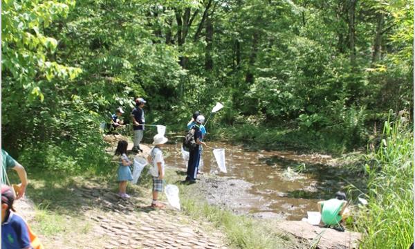 令和8年度昆虫クラブ新規会員募集