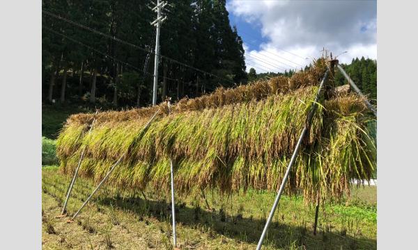 田舎でアートと農業体験！イベント「くらしの十字路」〜アートと文化がクロスする場所〜【第２回】 イベント画像2