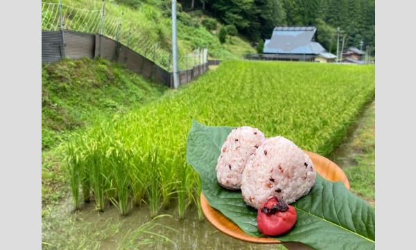 田舎でアートと農業体験！イベント「くらしの十字路」〜アートと文化がクロスする場所〜【第２回】 イベント画像3