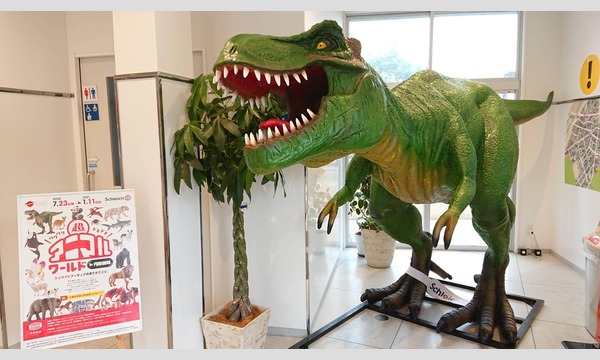 11/30（月）円形劇場くらよしフィギュアミュージアム 入館券 最大640円割引 イベント画像3