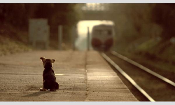 映画『石岡タロー』日立上映会 イベント画像2