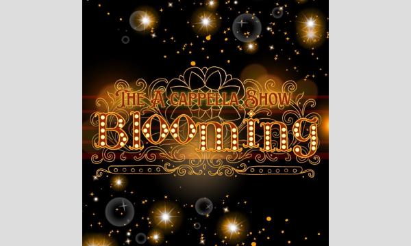 ☆関西大学アカペラサークルBrooklyn304 Winter Live 2025 イベント画像1