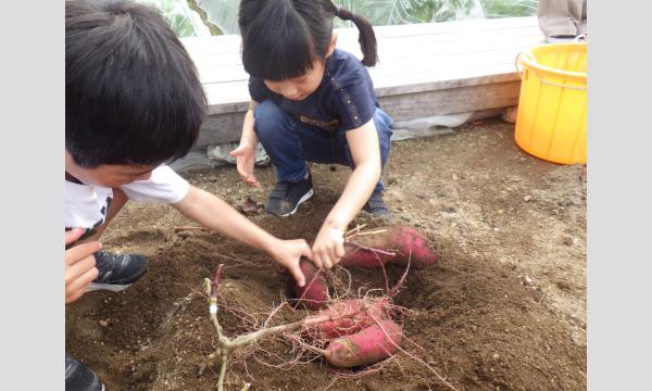 二子玉川ライズの菜園広場で野菜を育てよう！ イベント画像3