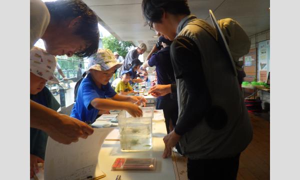 二子玉川ライズ　めだかの池いきもの調査2025 イベント画像3