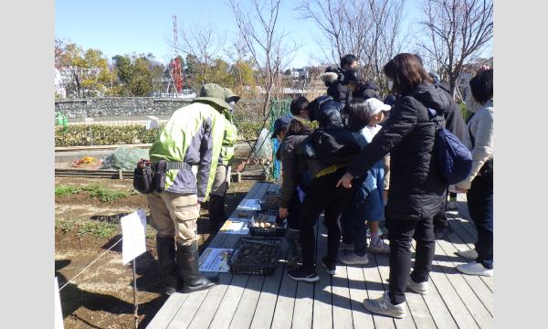 二子玉川ライズ 　ジャガイモ植付イベント2026 イベント画像2
