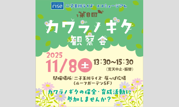 二子玉川ライズ エコミュージアム 第8回カワラノギク観察会 in東京イベント