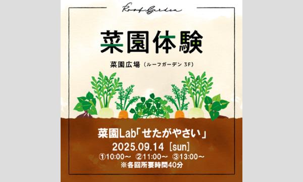 二子玉川ライズ　菜園Lab「せたがやさい」 in東京イベント