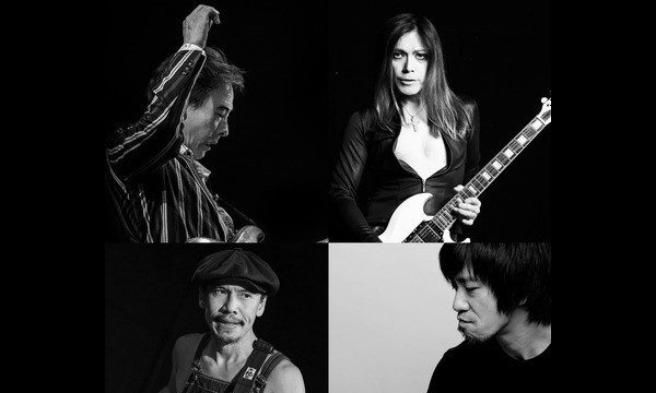 ROLLY&鈴木茂Presents ハロウィン・ナイト イヴライブ2018 ブリティッシュ・ロックでギター弾きまくり！！ イベント画像2