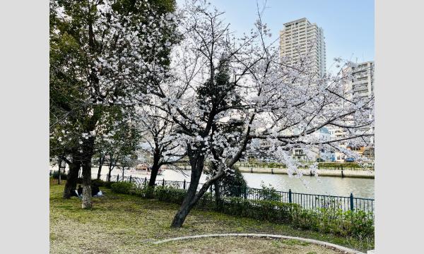 G】4/5（日）Tsunagary Cafe お花見 2026 for G（大阪） in大阪 - パス