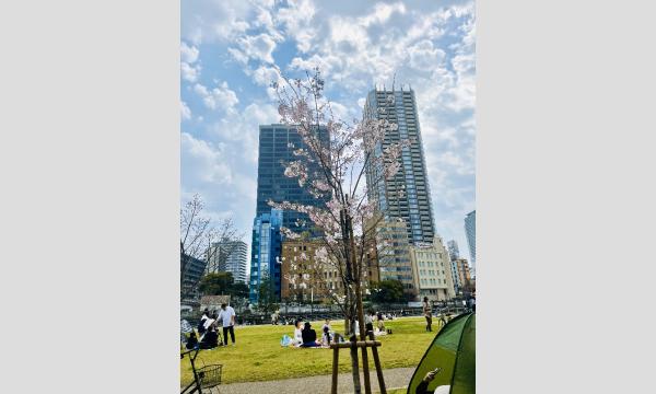 G】4/5（日）Tsunagary Cafe お花見 2026 for G（大阪） in大阪 - パス