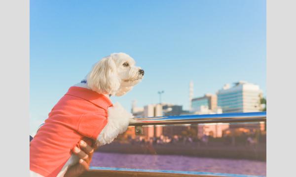 【 10月13日(月祝) 】The Dog Of The Bay cruise in神奈川イベント