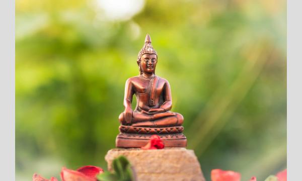 【オンライン】2025/9/20(土)やさしい仏教のめいそうとお話