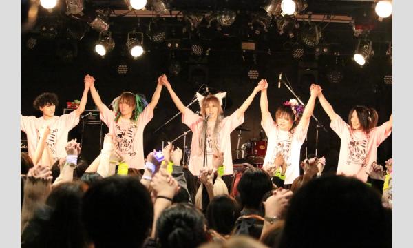 SACCIアコーステックワンマン「初雪とミライと」札幌節 イベント画像3
