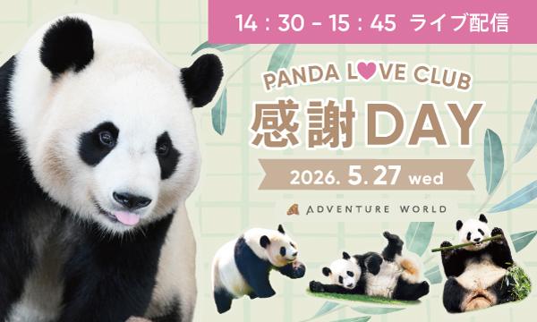 オンラインライブ配信　中国でのパンダファミリーの生活を覗いてみよう｜アドベンチャーワールド