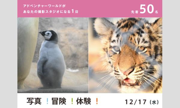 写真！冒険！体験！アドベンチャー　動物の赤ちゃんとの出会い編！イベント