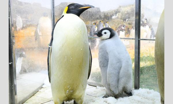 写真！冒険！体験！アドベンチャー　動物の赤ちゃんとの出会い編！ イベント画像2