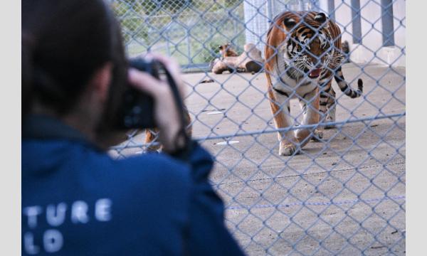 写真！冒険！体験！アドベンチャー　動物の赤ちゃんとの出会い編！ イベント画像3