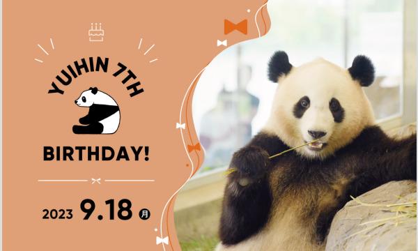 ジャイアントパンダ結浜オンライン誕生会　９月１８日（月）「結浜（ゆいひん）の七不思議」アドベンチャーワールド イベント画像1