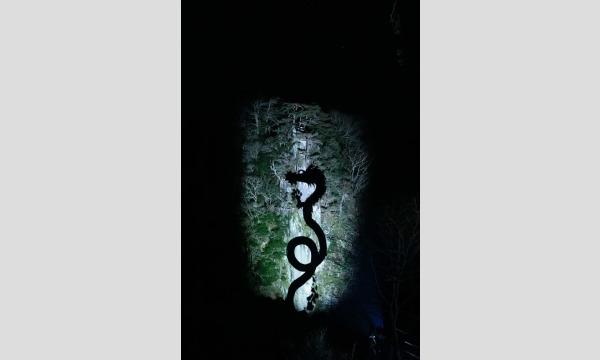 【シーズン券】天龍峡ナイトミュージアム2023 イベント画像3