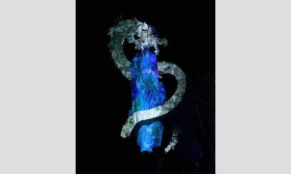 【12月分】天龍峡ナイトミュージアム2023 イベント画像3