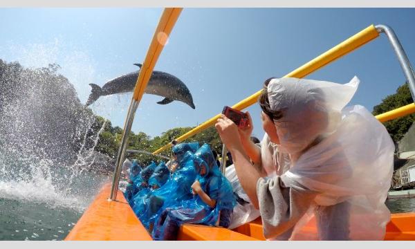 下田海中水族館割引入場券【2026年1月1日～】 イベント画像2