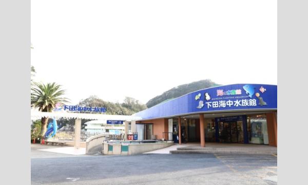下田海中水族館割引入場券【2026年1月1日～】