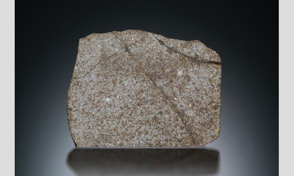 第39回東京国際ミネラルフェア The 39th Tokyo International Mineral Fair イベント画像2