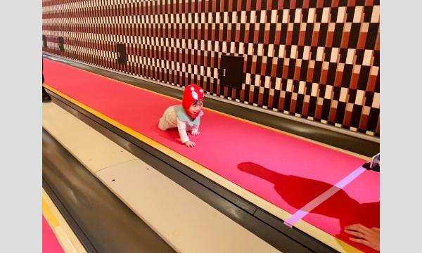 藤田茜 直筆サイン色紙 ✨サイン色紙プレゼントキャンペーン第4弾‼✨ GWを記念して、フィーナ