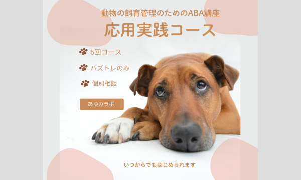 動物の飼育管理のためのABA講座応用実践コース2026年1月生